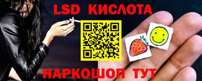 винт Будённовск