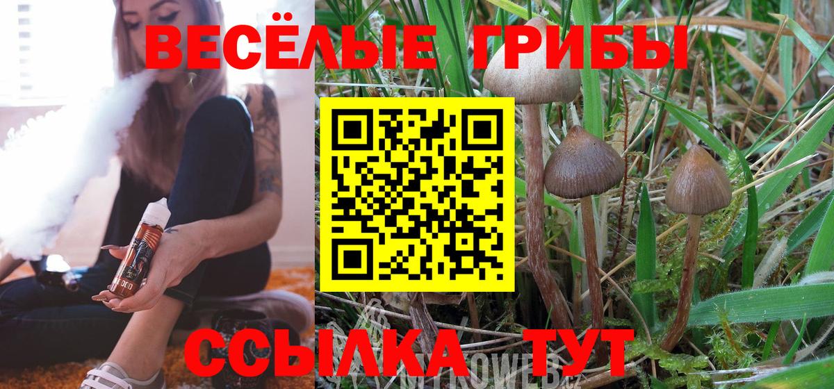 Галлюциногенные грибы Cubensis Нягань