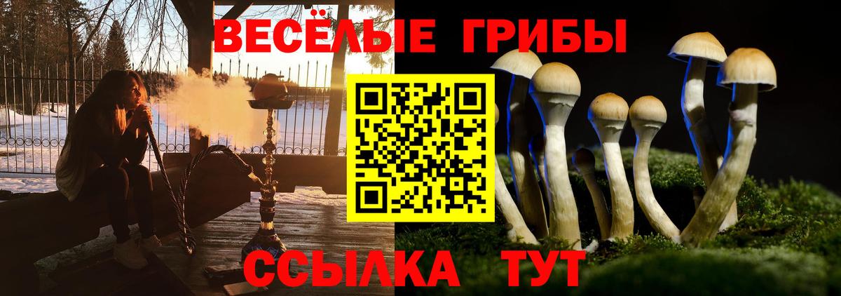 где купить наркотик  Псилоцибиновые грибы Psilocybe  Вход с VPN  Нягань  Галлюциногенные грибы MAGIC MUSHROOMS 
